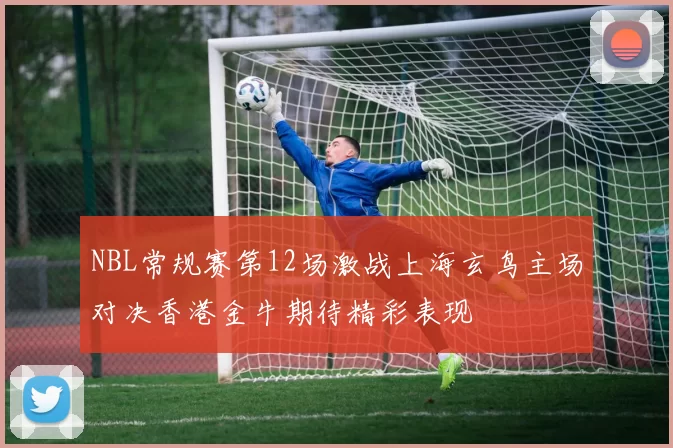 NBL常规赛第12场激战上海玄鸟主场对决香港金牛期待精彩表现