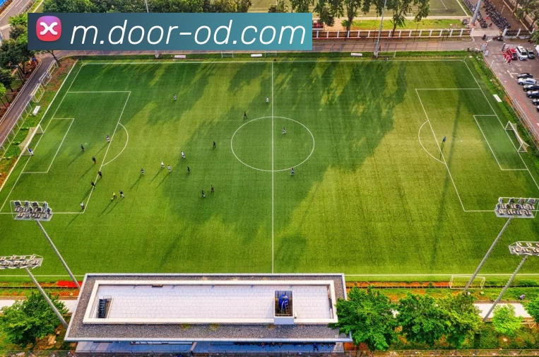 OD体育APP 封面图