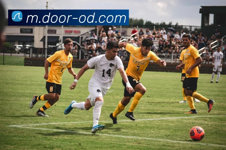 数据防护可视化